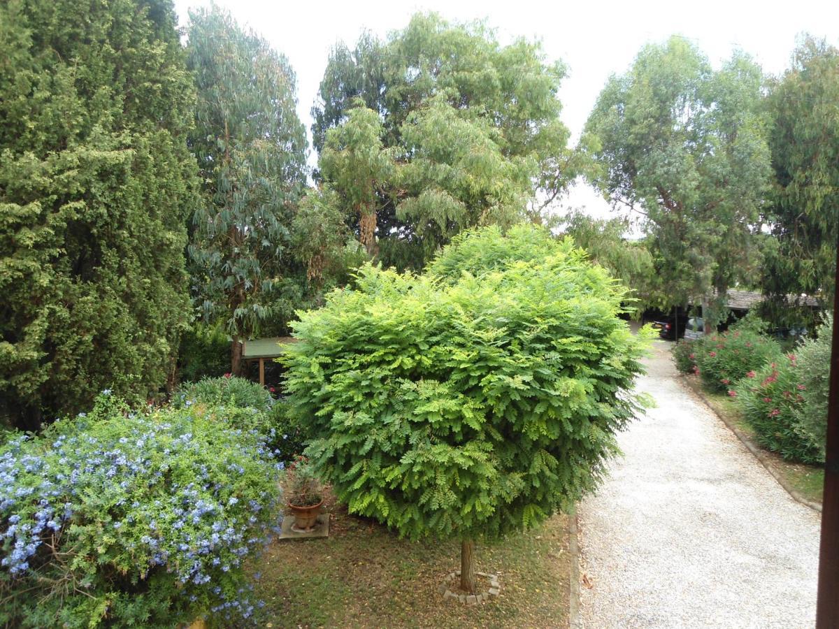 Agriturismo Le Pescine Vada Extérieur photo