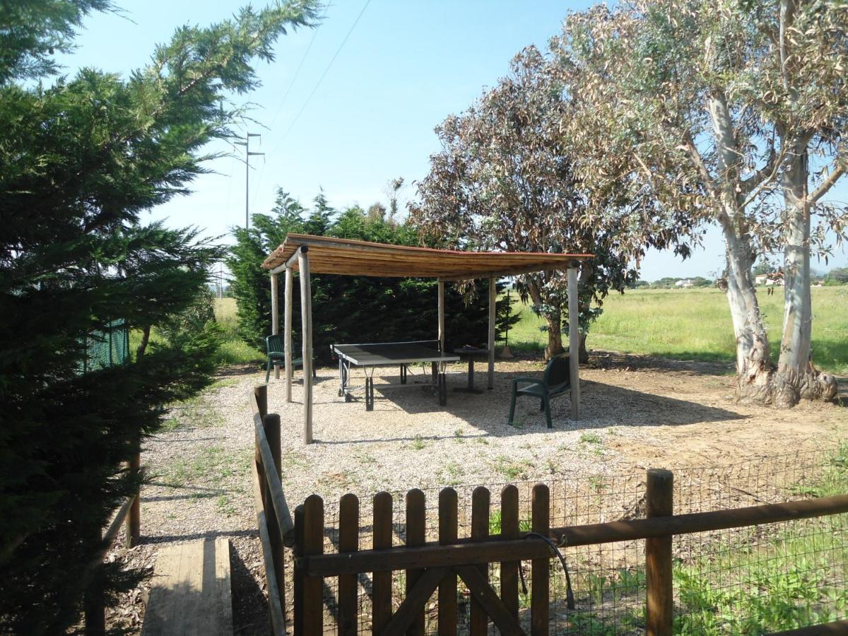 Agriturismo Le Pescine Vada Extérieur photo